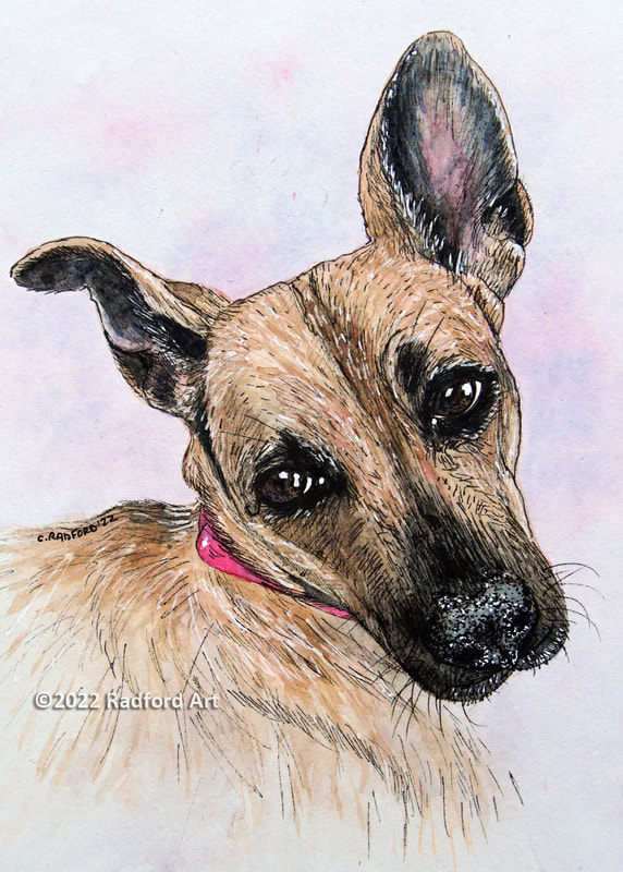 Portrait of Hazel drawn in ink add painted with watercolour