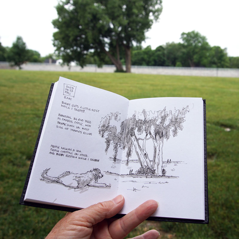 Location sketch of a big old  beautiful tree in Harris Park, beside the Thames River.