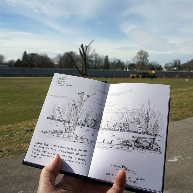 Urban Sketching in Harris Park in London. Quick sketch of the mature trees being cut down for the improvements and restoration of the park. 