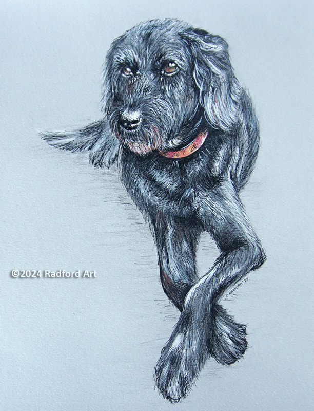 Portraits of Chloe using ink,  charcoal, and coloured pencil on grey stonehenge paper.