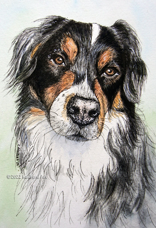 Portrait of Ricky drawn in ink add painted with watercolour
